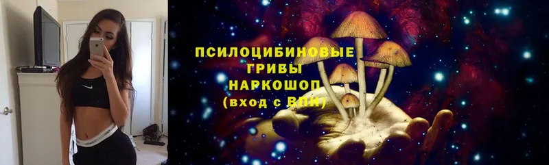 Псилоцибиновые грибы Magic Shrooms  гидра зеркало  Покров 